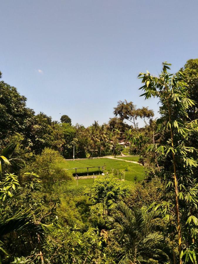 Prasanti Bed & Breakfast Ubud Zewnętrze zdjęcie